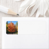 Étiquette Feuilles d'automne (En situation)