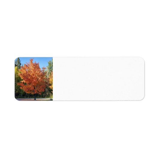 Étiquette Feuilles d'automne (Devant)