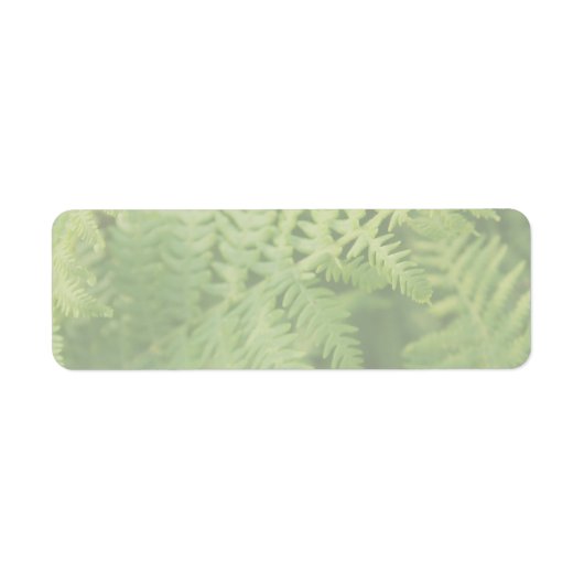 Étiquette Feuilles de fougère, vert clair. (Devant)