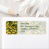 Étiquette Feuilles de Ginkgo biloba (En situation)