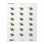 Étiquette Feuilles de laurier frais (Feuille entière)