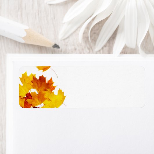 Étiquette Feuilles d'érable (En situation)