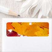 Étiquette Feuilles d'érable (En situation)