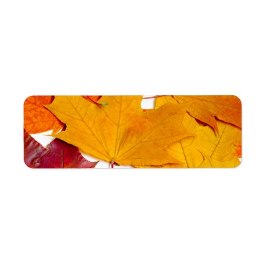 Étiquette Feuilles d'érable (Devant)