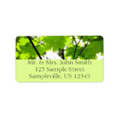 Étiquette Feuilles d'érable avec Raindrops (Devant)