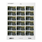 Étiquette Findlay Falls I (Feuille entière)