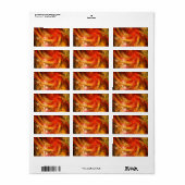 Étiquette Firestorm Nova Art Abstrait (Feuille entière)