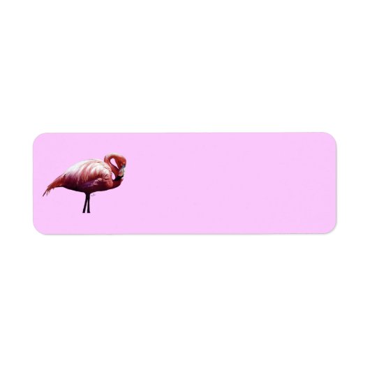 Étiquette Flamant rose (Devant)