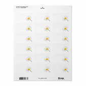 Étiquette Fleur Chamomile Isolé Sur Arrière - plan Blanc (Feuille entière)