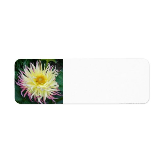 Étiquette Fleur Dahlia Jaune (Devant)