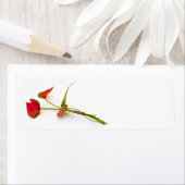 Étiquette Fleur d'anthurium (En situation)