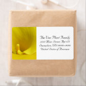 Étiquette Fleur de calla jaune (En situation)