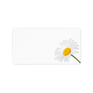 Étiquette Fleur de camomille d'isolement sur l'arrière -