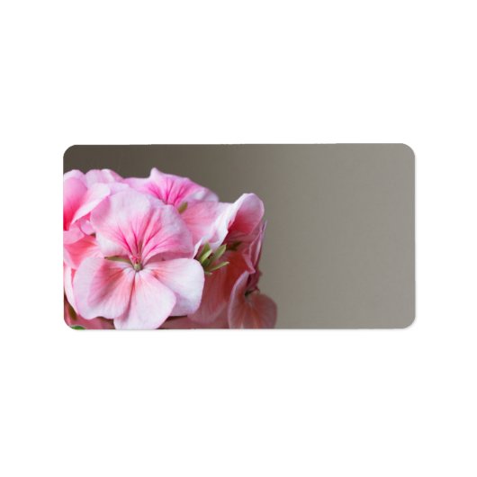 Étiquette Fleur de géranium rose (Devant)
