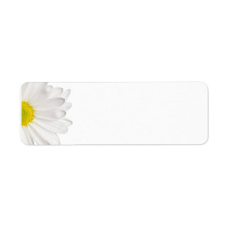 Étiquette Fleur de marguerite blanche Arrière - plan de marg
