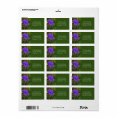 Étiquette Fleur de pétunia mexicaine / Violet bleu & vert / (Feuille entière)