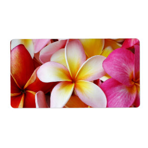 Étiquette Fleur de Plumeria mixte jaune rose
