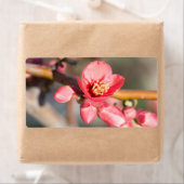 Étiquette Fleur de printemps (En situation)