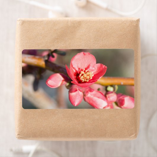 Étiquette Fleur de printemps (En situation)