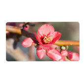 Étiquette Fleur de printemps (Devant)