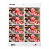 Étiquette Fleur de printemps (Feuille entière)