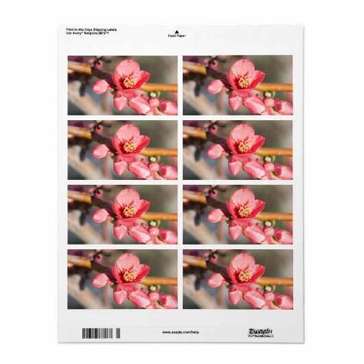 Étiquette Fleur de printemps (Feuille entière)