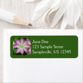 Étiquette Fleur de printemps Clematis rose et blanc (En situation)