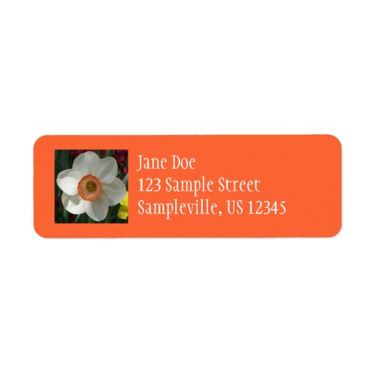 Étiquette Fleur de printemps de jonquille rose (Devant)