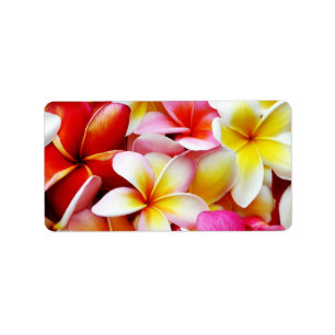 Étiquette Fleur d'Hawaï de Frangipani de Plumeria customis