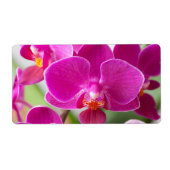 Étiquette Fleur d'orchidées roses - Modèle d'orchidées flora (Devant)