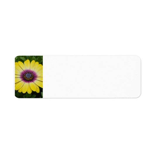 Étiquette Fleur jaune (Devant)