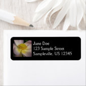 Étiquette Fleur Lotus Rose I Floral Été (En situation)