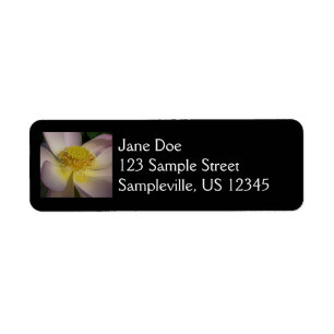 Étiquette Fleur Lotus Rose I Floral Été