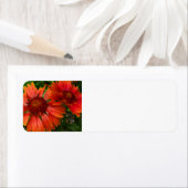 Étiquette Fleur ouverte (En situation)