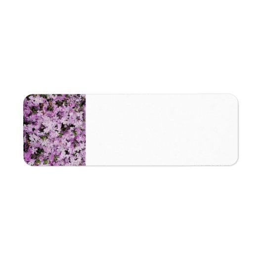 Étiquette Fleur rose (Devant)