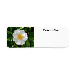 Étiquette Fleur Rose Cherokee