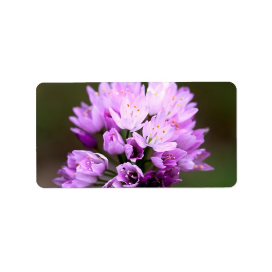 Étiquette Fleur sauvage (Devant)