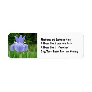 Étiquette Fleur sibérienne de fleur d'iris d'indigo assez