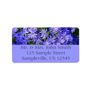 Étiquette Fleurs bleues à la marguerite Nature Photographie