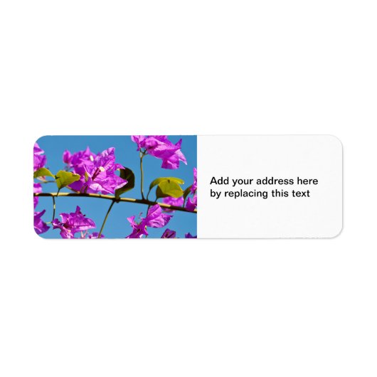 Étiquette Fleurs de Bougainvilliers (Devant)
