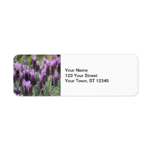 Étiquette Fleurs de lavande