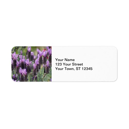 Étiquette Fleurs de lavande (Devant)
