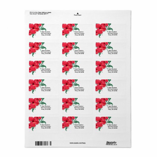 Étiquette Fleurs d'Hibiscus (Feuille entière)