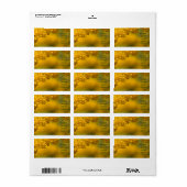 Étiquette Fleurs Jaunes Minuscules (Feuille entière)