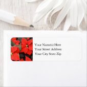 Étiquette Fleurs Poinsettia de Noël Rouge (En situation)