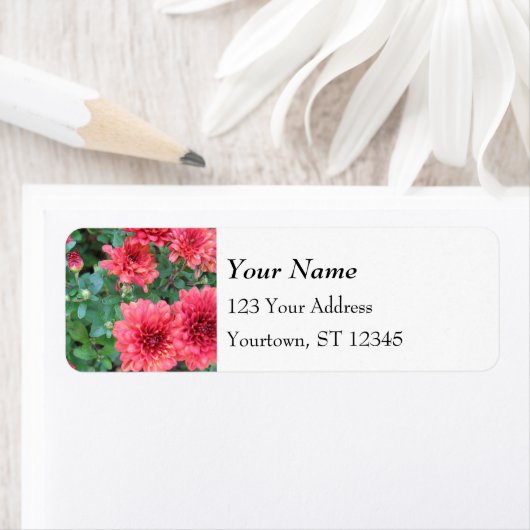 Étiquette Fleurs rouges de chrysanthème (En situation)