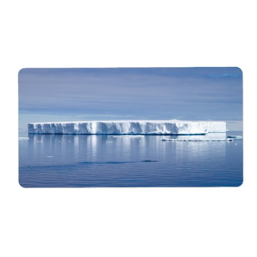 Étiquette Floating iceberg (Devant)