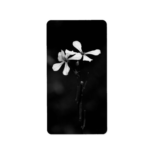 Étiquette floral noir et blanc minimal (Devant)