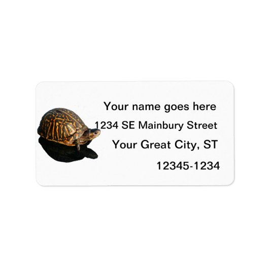 Étiquette Florida Box turtle Photographie avec Shadow Cutout (Devant)