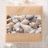 Étiquette Florida Sea Shell Arrière - plan - Beach Shells Cu (En situation)